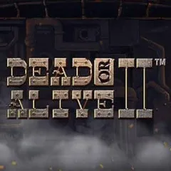 Dead or Alive 2 slot at Bettom Casino